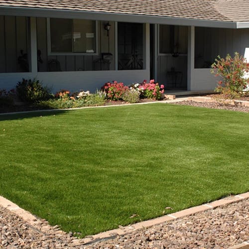 Olive Lush Landscape Turf preview 1